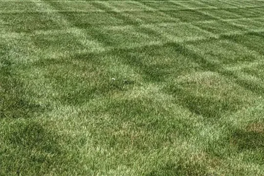 lawn mowing o'fallon il