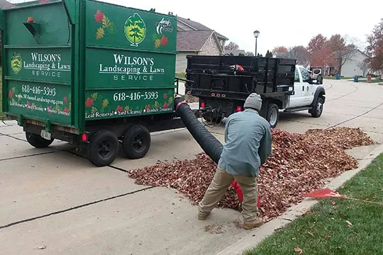 leaf removal ofallon il