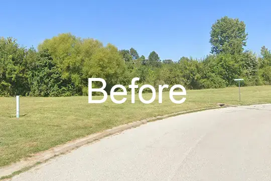 before forest mulch ofallon il